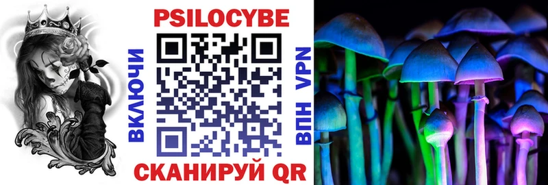 Купить  Северодвинск  Галлюциногенные грибы Psilocybe 